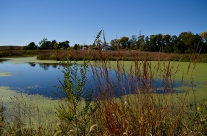 Spring Prairie Audobon-0167