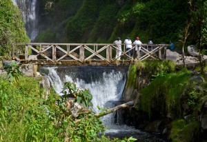 Bridge overlooking Peguche Falls-0309